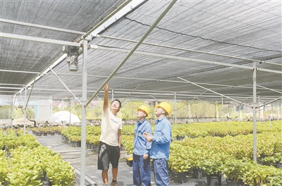 電力賦能智慧農業發展